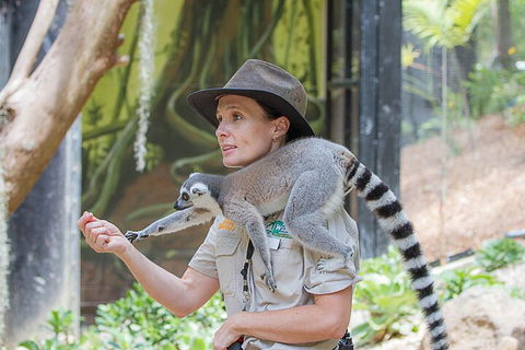 Currumbin Wildlife Sanctuary General Entry Ticket - Sunshine Coast Guide 1