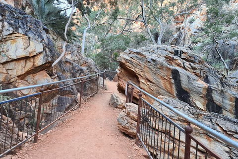 West MacDonnell Ranges Half-Day Private Charter Guided Tour - Sunshine Coast Guide 0
