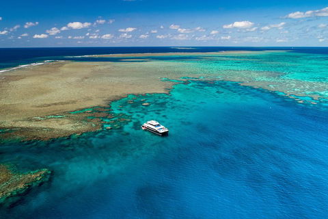 Calypso Outer Great Barrier Reef Cruise From Port Douglas - Sunshine Coast Guide 1