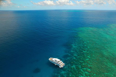 Great Barrier Reef Snorkeling And Diving Cruise From Cairns - Sunshine Coast Guide 4