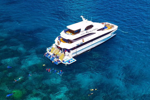 Great Barrier Reef Snorkeling And Diving Cruise From Cairns - Sunshine Coast Guide 5