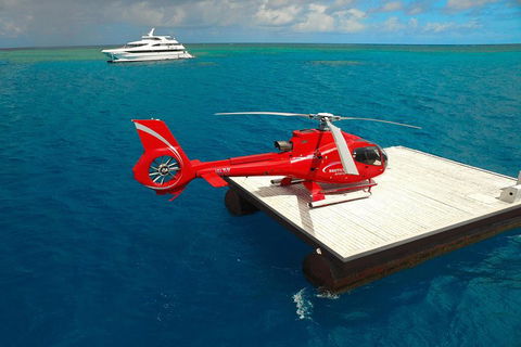 Great Barrier Reef Scenic Helicopter Tour And Cruise From Cairns - Sunshine Coast Guide 5