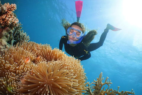 Port Douglas - Cruise And 10 Minute Scenic Flight - Sunshine Coast Guide 3