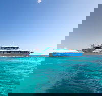 Rottnest Island All-Inclusive Grand Island Tour from Fremantle - Sunshine Coast Guide