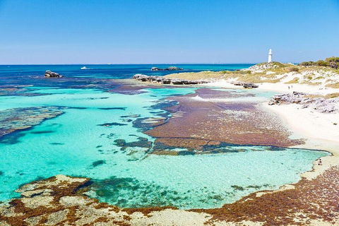 Rottnest Island Bike & Ferry Package From Fremantle - Sunshine Coast Guide 5