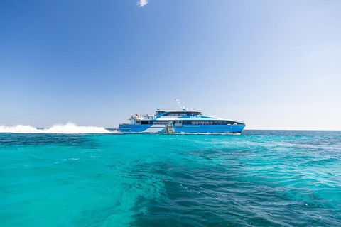 Rottnest Island Bike, Snorkel & Ferry Package From Fremantle - Sunshine Coast Guide 0