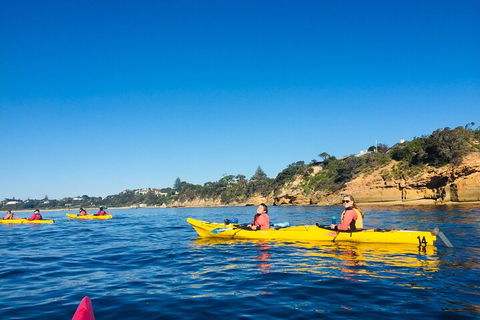 Mornington Peninsula Kayak Coastline Tour Of Dolphin Sanctuary - Sunshine Coast Guide 1