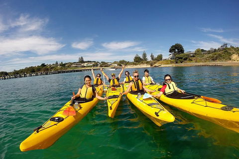 Mornington Peninsula Kayak Coastline Tour Of Dolphin Sanctuary - Sunshine Coast Guide 2