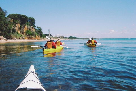 Mornington Peninsula Kayak Coastline Tour Of Dolphin Sanctuary - Sunshine Coast Guide 5