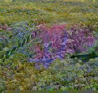 Litchfield Park  Daly River - Scenic Flight From Darwin - Sunshine Coast Guide