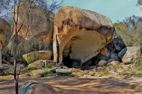 Wave Rock And Pinnacles Air & Ground Tour - Sunshine Coast Guide 3