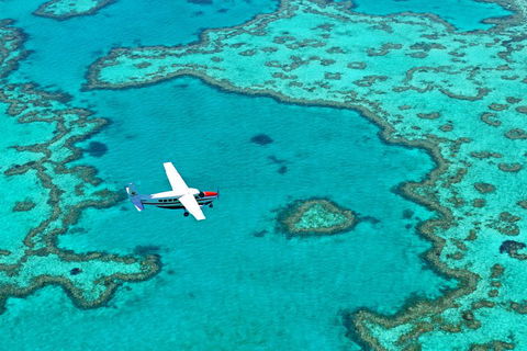 Reef And Island Scenic Flight From Airlie Beach - Sunshine Coast Guide 4