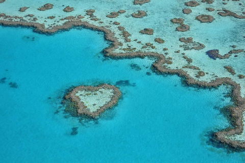 Reef And Island Scenic Flight From Airlie Beach - Sunshine Coast Guide 5