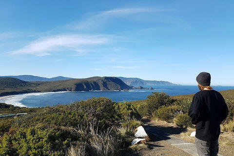 Small-Group Day Trip From Hobart To Bruny Island - Sunshine Coast Guide 0