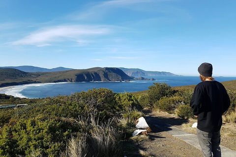 4-Day Fabulous Tasmania Tour: Wineglass Bay, Port Arthur, Devils & Bruny Island - Sunshine Coast Guide 0