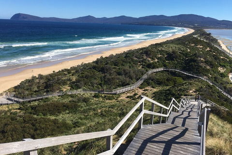 4-Day Fabulous Tasmania Tour: Wineglass Bay, Port Arthur, Devils & Bruny Island - Sunshine Coast Guide 5