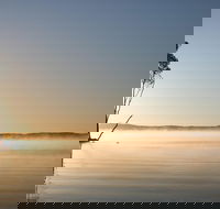 Serenity Cruise to Australia's Everglades - Sunshine Coast Guide