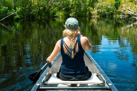 Cruise 'n' Canoe To Australia's Everglades - Sunshine Coast Guide 0