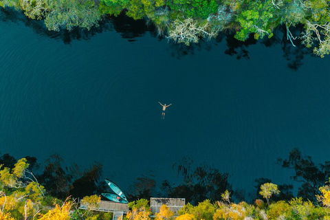 Cruise 'n' Canoe To Australia's Everglades - Sunshine Coast Guide 2