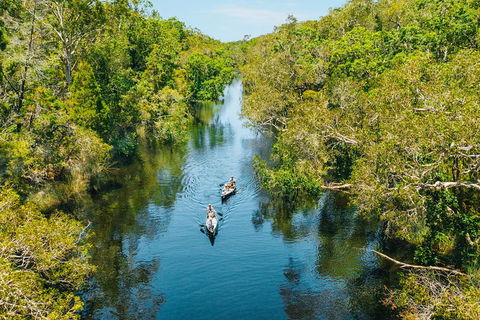 Cruise 'n' Canoe To Australia's Everglades - Sunshine Coast Guide 3