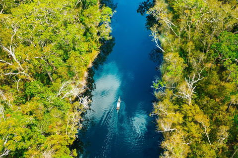 Cruise 'n' Canoe To Australia's Everglades - Sunshine Coast Guide 4