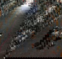 Wirra Wirra Vineyard McLaren Vale Winery Tour and Shiraz Masterclass