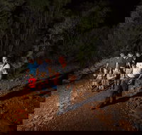 Alice Springs Desert Park Nocturnal Tour - Sunshine Coast Guide