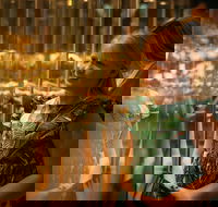 The Perth Mint Guided Heritage Tour and Gold Pour - Sunshine Coast Guide