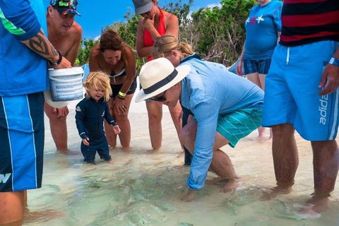 Whitehaven Beach And Hamilton Island Cruise - Sunshine Coast Guide 1