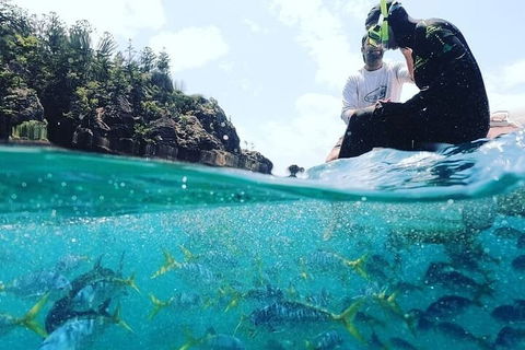 2 Night Small Group Whitsundays Sailing Adventure Aboard Mandrake - Sunshine Coast Guide 5