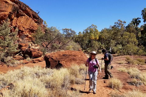 Palm Valley And Hermannsburg 1 Day 4WD Tour - Sunshine Coast Guide 1