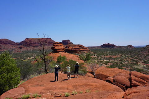 Palm Valley And Hermannsburg 1 Day 4WD Tour - Sunshine Coast Guide 2
