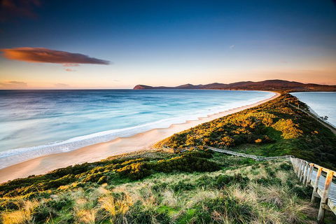 Full-Day Guided Bruny Island Tour From Hobart - Sunshine Coast Guide 2