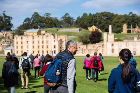 Port Arthur Express Shuttle - Sunshine Coast Guide 4