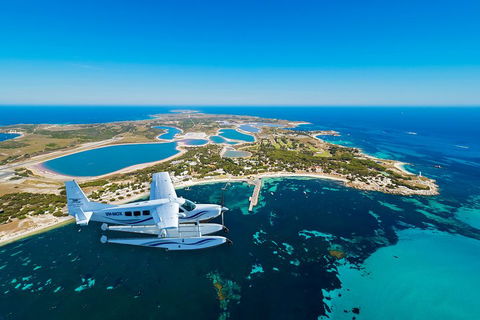 Full Day Tour By Seaplane To Rottnest Island Small Group Trip - Sunshine Coast Guide 1