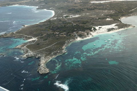 Full Day Tour By Seaplane To Rottnest Island Small Group Trip - Sunshine Coast Guide 5