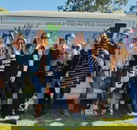 Full Day Mount Tamborine Winery Tour from Gold Coast - Sunshine Coast Guide