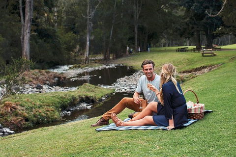 Mt Tamborine - Hinterland Wonders Self Guided - Sunshine Coast Guide 0