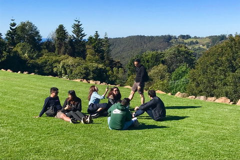 Mt Tamborine - Hinterland Wonders Self Guided - Sunshine Coast Guide 1