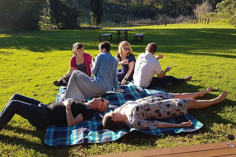 Mt Tamborine - Hinterland Wonders Self Guided - Sunshine Coast Guide 2