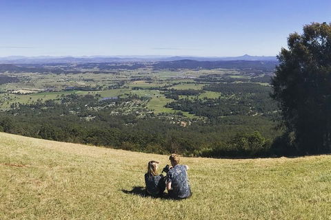 Mt Tamborine - Hinterland Wonders Self Guided - Sunshine Coast Guide 4