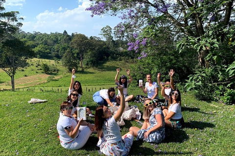 Mt Tamborine - Hinterland Wonders Self Guided - Sunshine Coast Guide 5