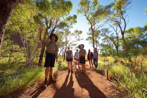 Uluru Small Group Tour Including Sunset - Sunshine Coast Guide 0