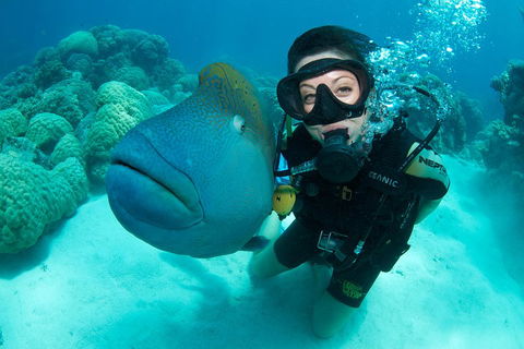 Great Barrier Reef Diving And Snorkeling Cruise From Cairns - Sunshine Coast Guide 2