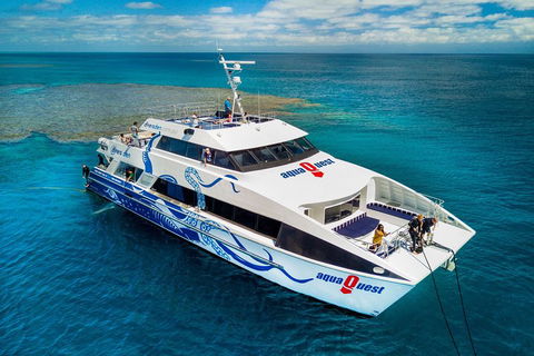 Great Barrier Reef Diving And Snorkeling Cruise From Cairns - Sunshine Coast Guide 5