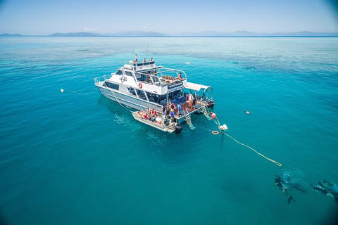 Ocean Freedom Great Barrier Reef Personal Luxury Snorkel & Dive Cruise, Cairns - Sunshine Coast Guide 0