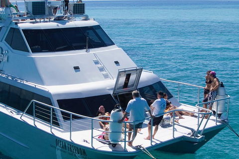 Ocean Freedom Great Barrier Reef Personal Luxury Snorkel & Dive Cruise, Cairns - Sunshine Coast Guide 1