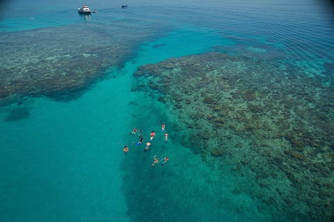 Ocean Freedom Great Barrier Reef Personal Luxury Snorkel & Dive Cruise, Cairns - Sunshine Coast Guide 3
