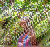 5 Day Australia Retreat Queensland Daintree