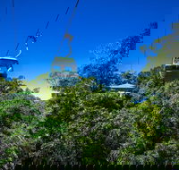 Classic Kuranda by Skyrail and Scenic Railway Including Rainforestation Koala and Wildlife Park and Pamagirri Aboriginal Experi